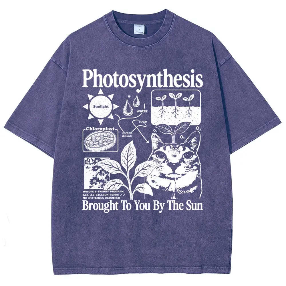 Photosynthesis Cat and Botanical Science Graphic Washed Tee