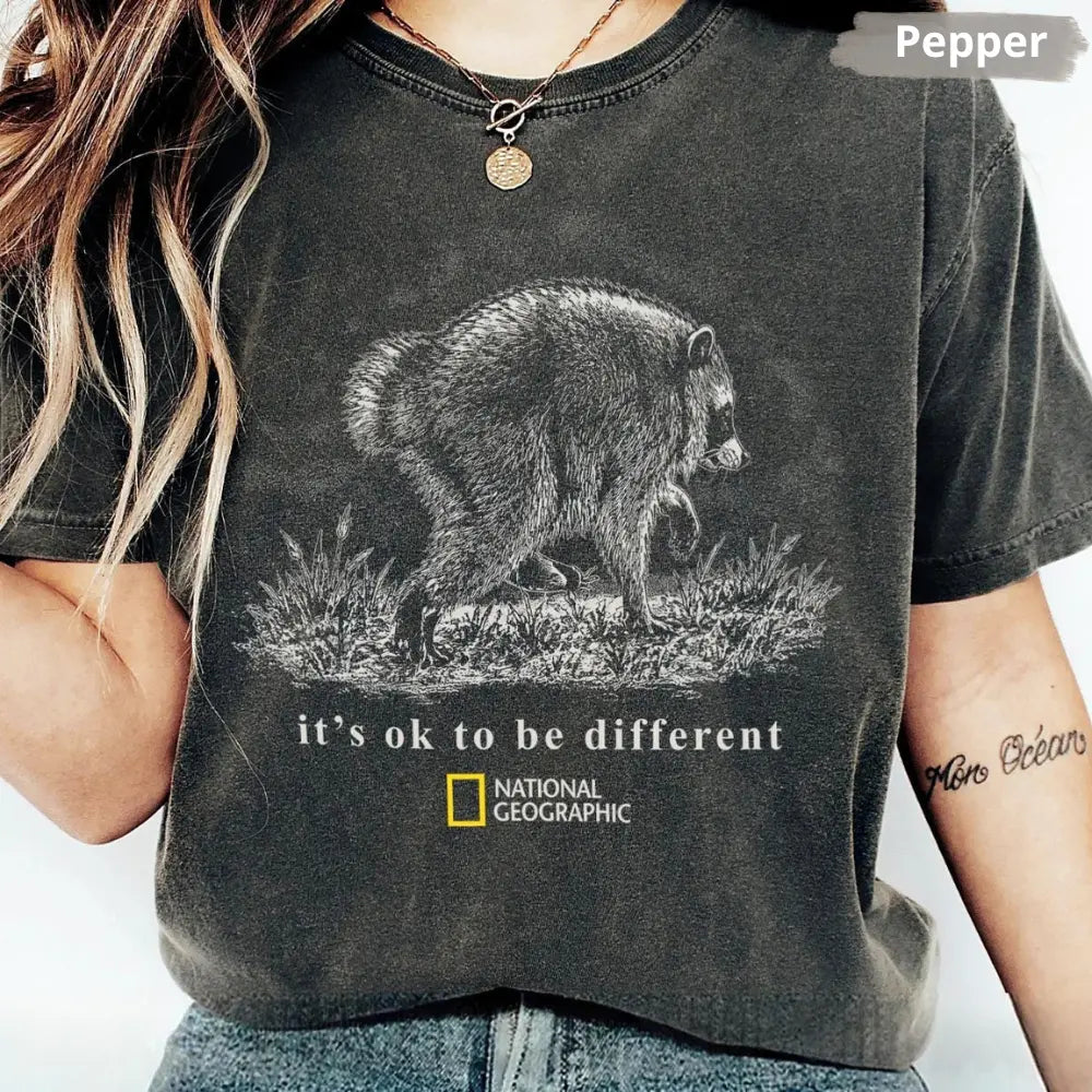 Comfort Colors Jimothy Raccoon T Shirt, Famous Seattle Raccoon Graphic Tee, Vintage Y2K Graphic T-Shirt, Cute Trash Panda TShirt, Funny Animal Gift